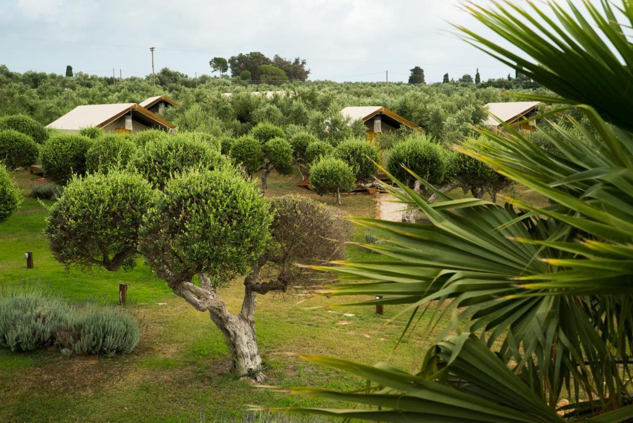 شقة Agrikies Country Retreat ماراثوبوليس المظهر الخارجي الصورة