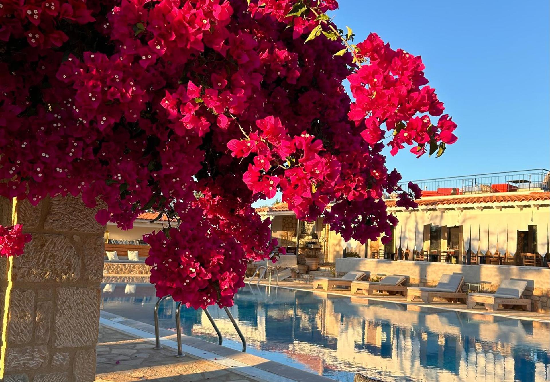 شقة Agrikies Country Retreat ماراثوبوليس المظهر الخارجي الصورة